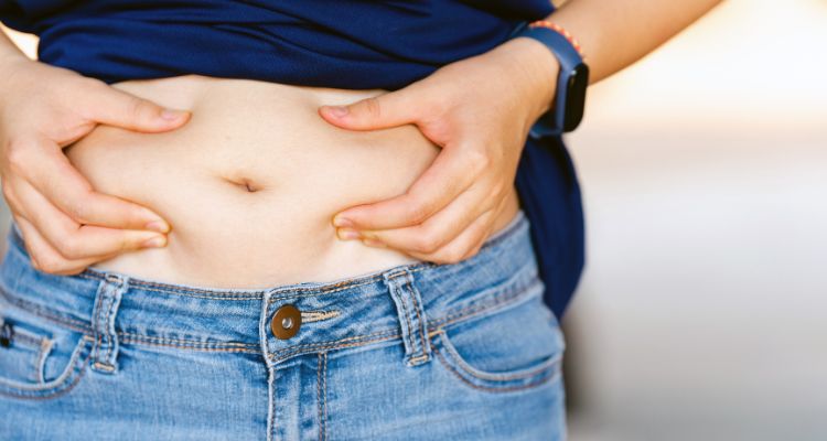 Estrogênio em transição e gordura abdominal no climatério