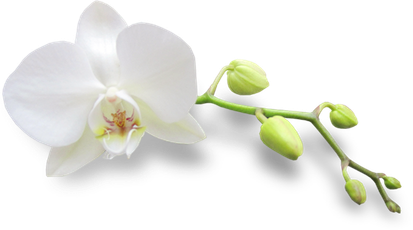 menopausa climaterio